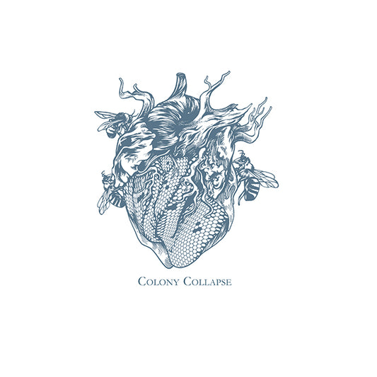 Duncan Barlow "Colony Collapse" 12"